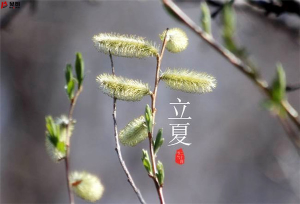二十四節氣立夏，那些您不知道的習俗